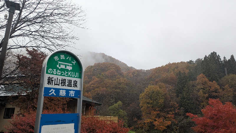 Hashigo no Takahashiさんの新山根温泉 べっぴんの湯のサ活写真