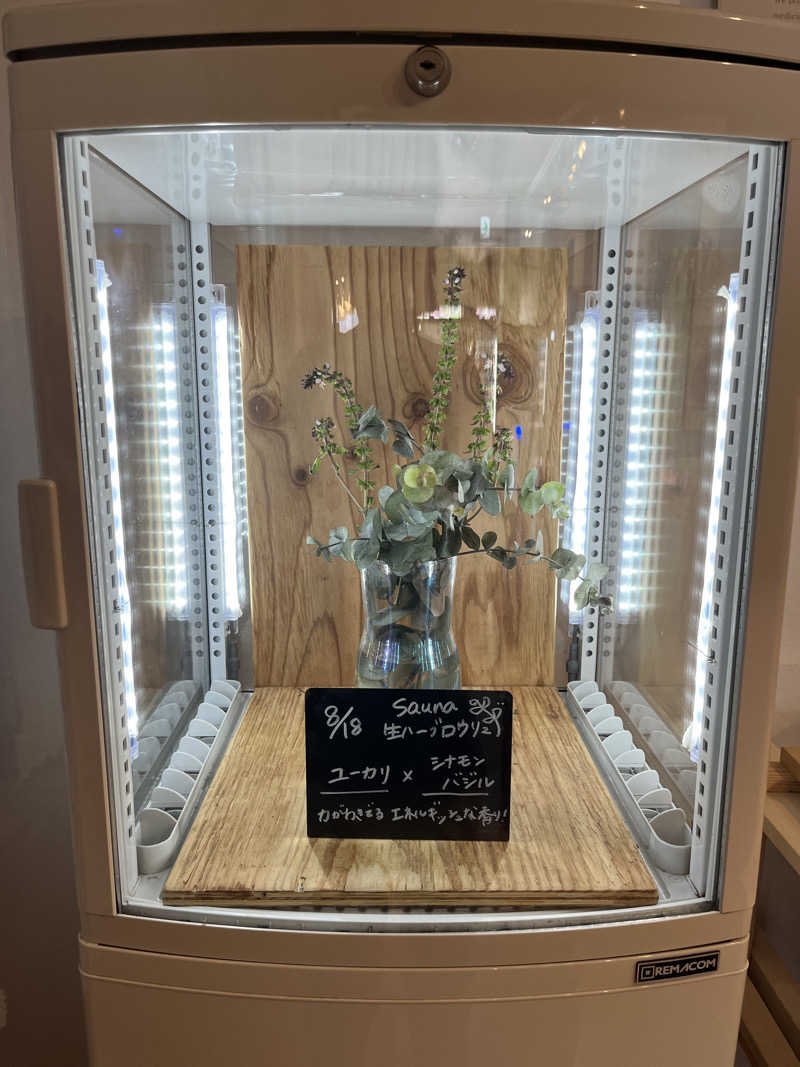 Shin-Osakaさんの岐阜各務原 恵みの湯のサ活写真