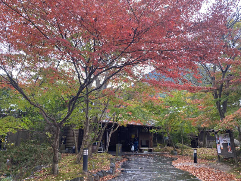 釣猟師kubokuboさんの八面山金色温泉のサ活写真