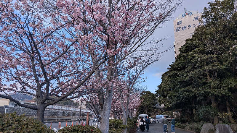 あさげ📛さんの駿河健康ランドのサ活写真