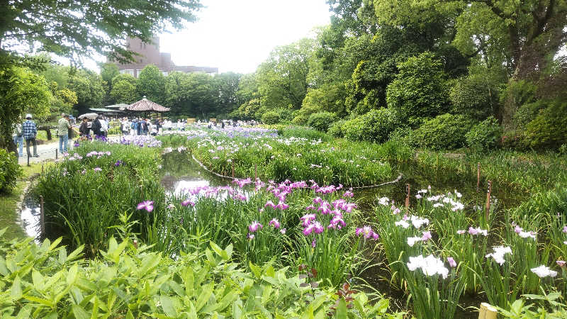 革ジャンさんの清滝温泉のサ活写真