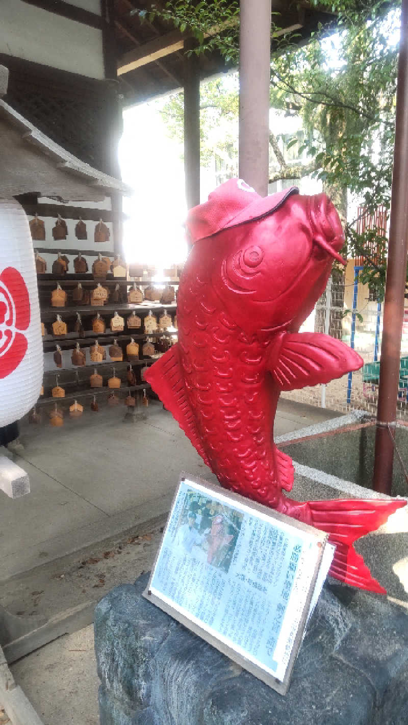 革ジャンさんの夢の公衆浴場 五色のサ活写真