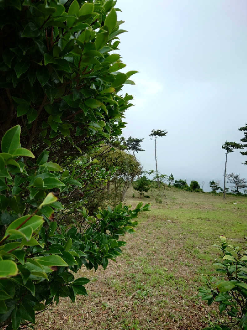 Jungle Jackさんの天神岬温泉しおかぜ荘のサ活写真