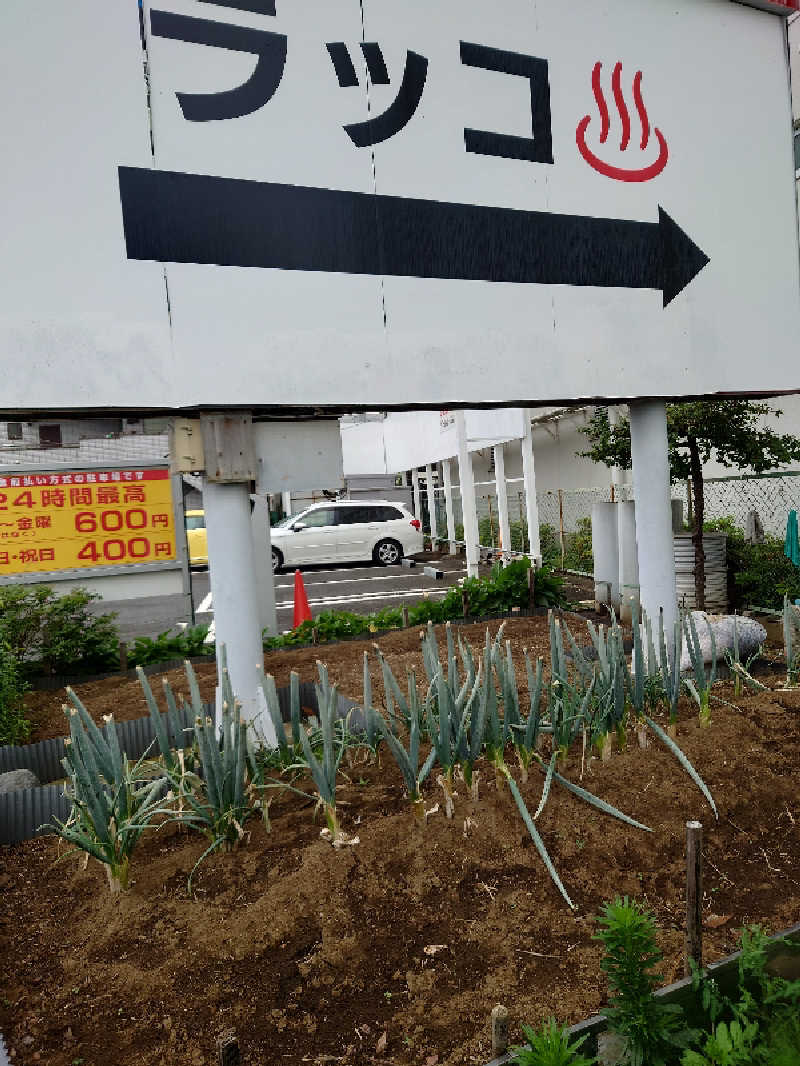 Jungle Jackさんの湯乃泉 東名厚木健康センターのサ活写真