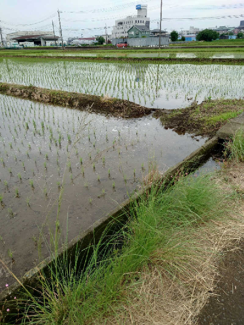 Jungle Jackさんの湯乃泉 東名厚木健康センターのサ活写真
