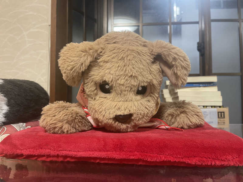 HIDETONTTUさんの増穂湯のサ活写真