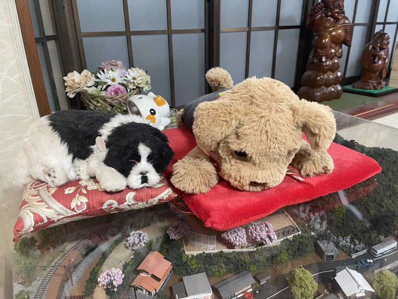 HIDETONTTUさんの増穂湯のサ活写真