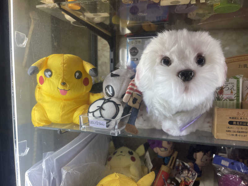 HIDETONTTUさんの湯パークレビランドのサ活写真