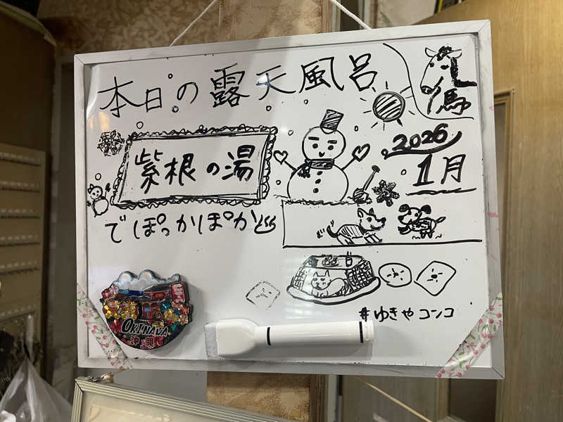 HIDETONTTUさんの湯パークレビランドのサ活写真