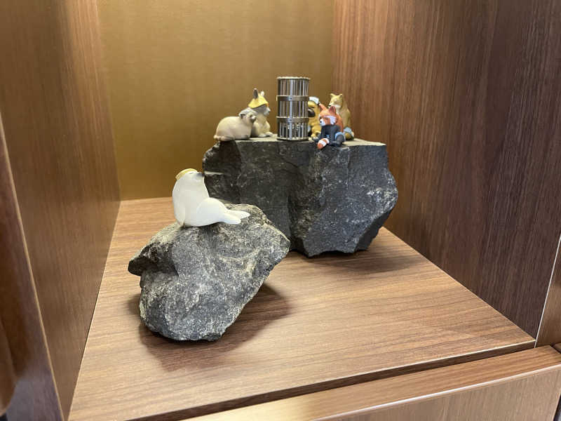 HIDETONTTUさんのサウナメッツァ 大井町トラックスのサ活写真