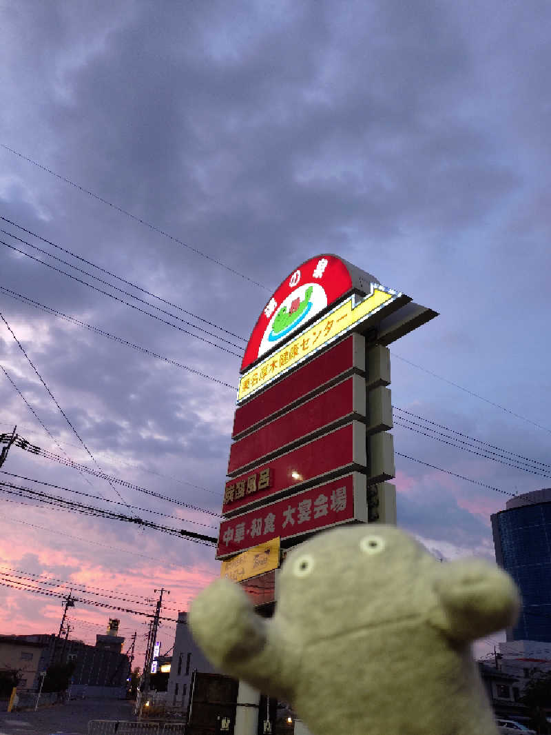 サウナイケナイさんの湯乃泉 東名厚木健康センターのサ活写真