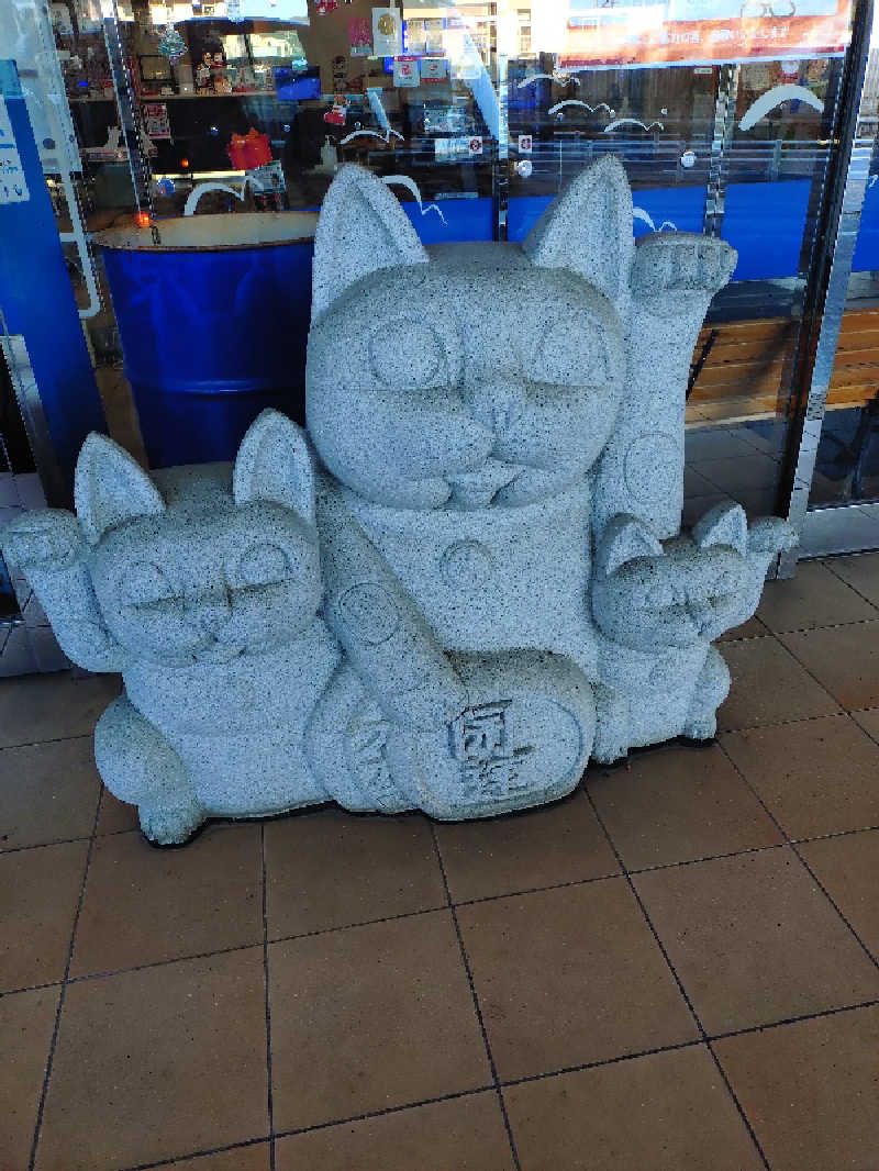 サウナイケナイさんの駿河健康ランドのサ活写真