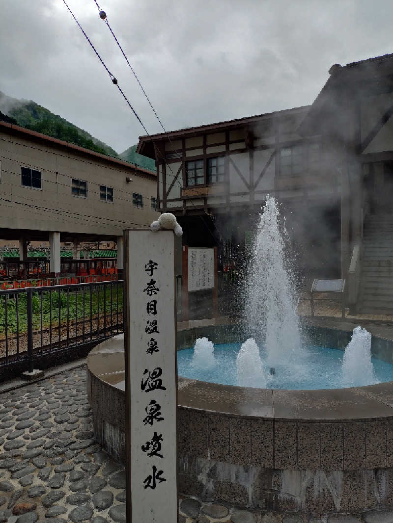 サウナイケナイさんの大江戸温泉物語 宇奈月グランドホテルのサ活写真