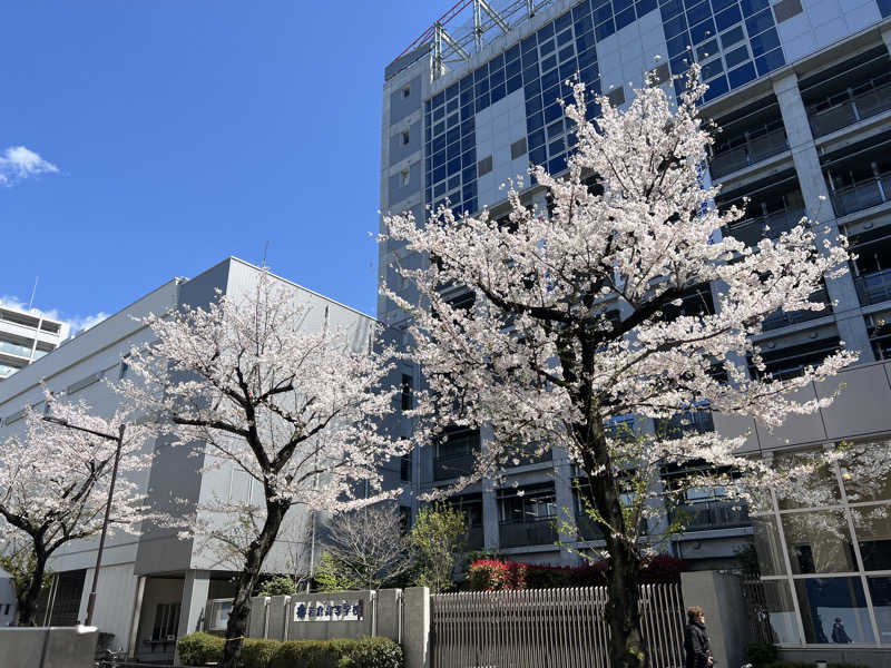 カピバラさんさんのサウナ&カプセルホテル 北欧のサ活写真