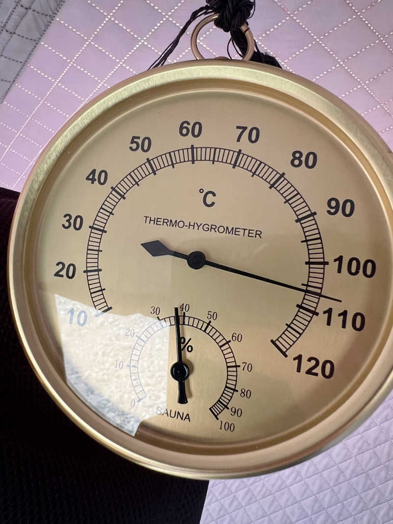 カピバラさんさんの青野原野呂ロッジキャンプ場のサ活写真