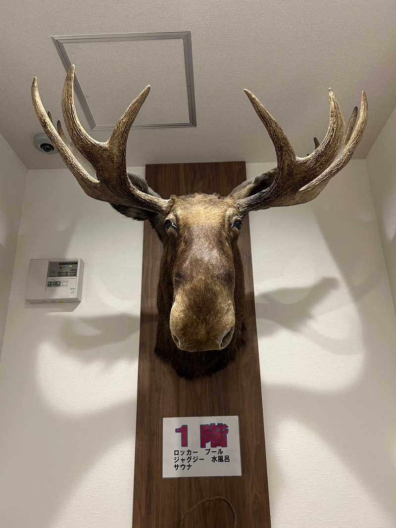 taka951111さんのニュージャパン 梅田店(カプセルイン大阪)のサ活写真