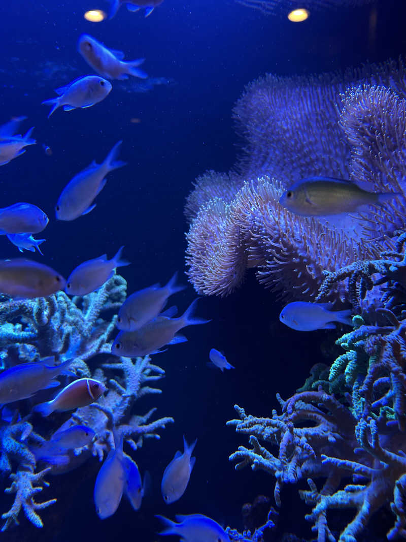 taka951111さんの竹取温泉 灯りの湯のサ活写真