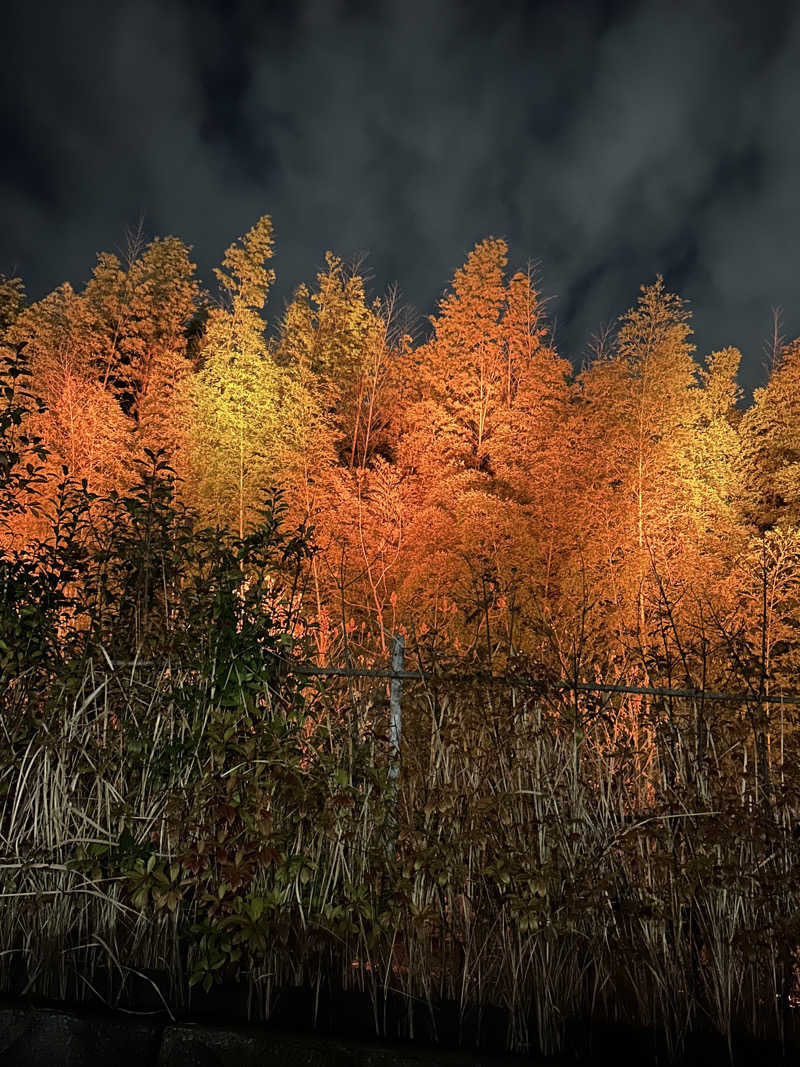 taka951111さんの竹取温泉 灯りの湯のサ活写真