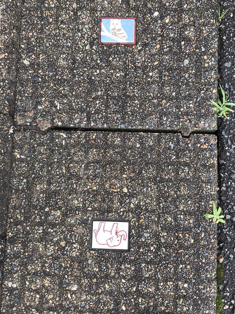 Hi panda(パンちゃん)さんの雄和ふるさと温泉ユアシスのサ活写真