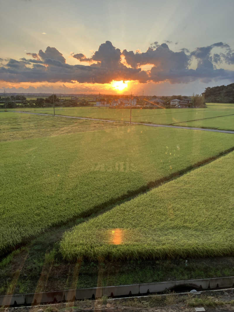 便〜BEN〜さんの成田の命泉 大和の湯のサ活写真