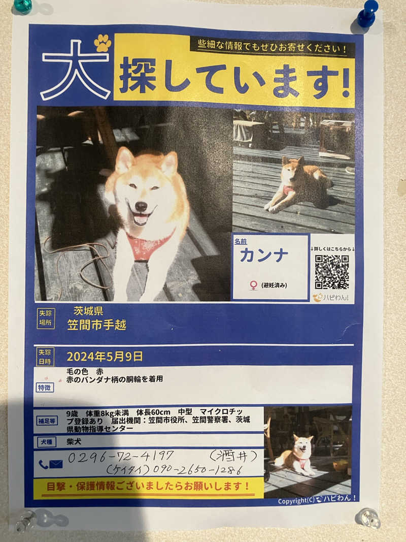 便〜BEN〜さんの笠間市 いこいの家はなさかのサ活写真