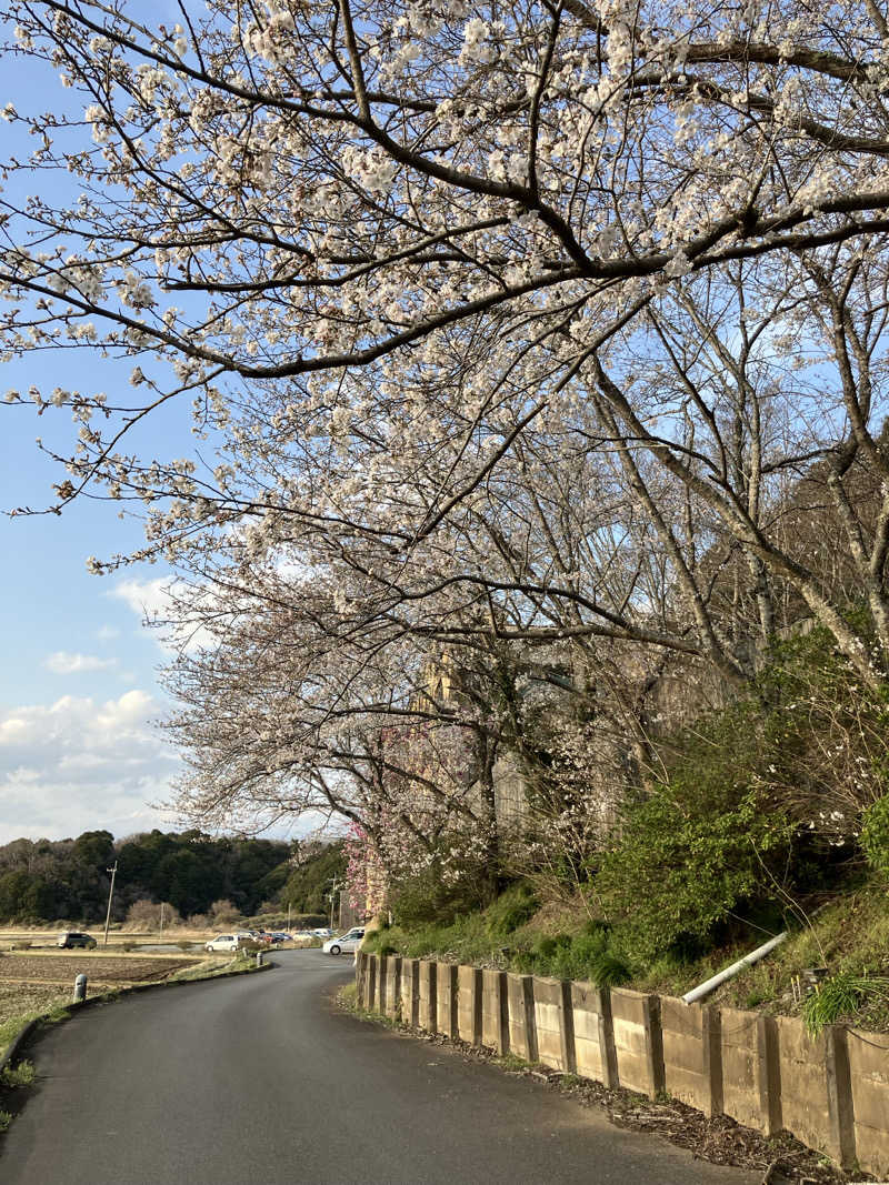 便〜BEN〜さんの成田の命泉 大和の湯のサ活写真