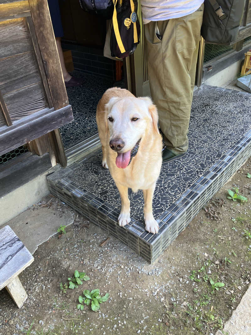 便〜BEN〜さんのコアミガメのサ活写真