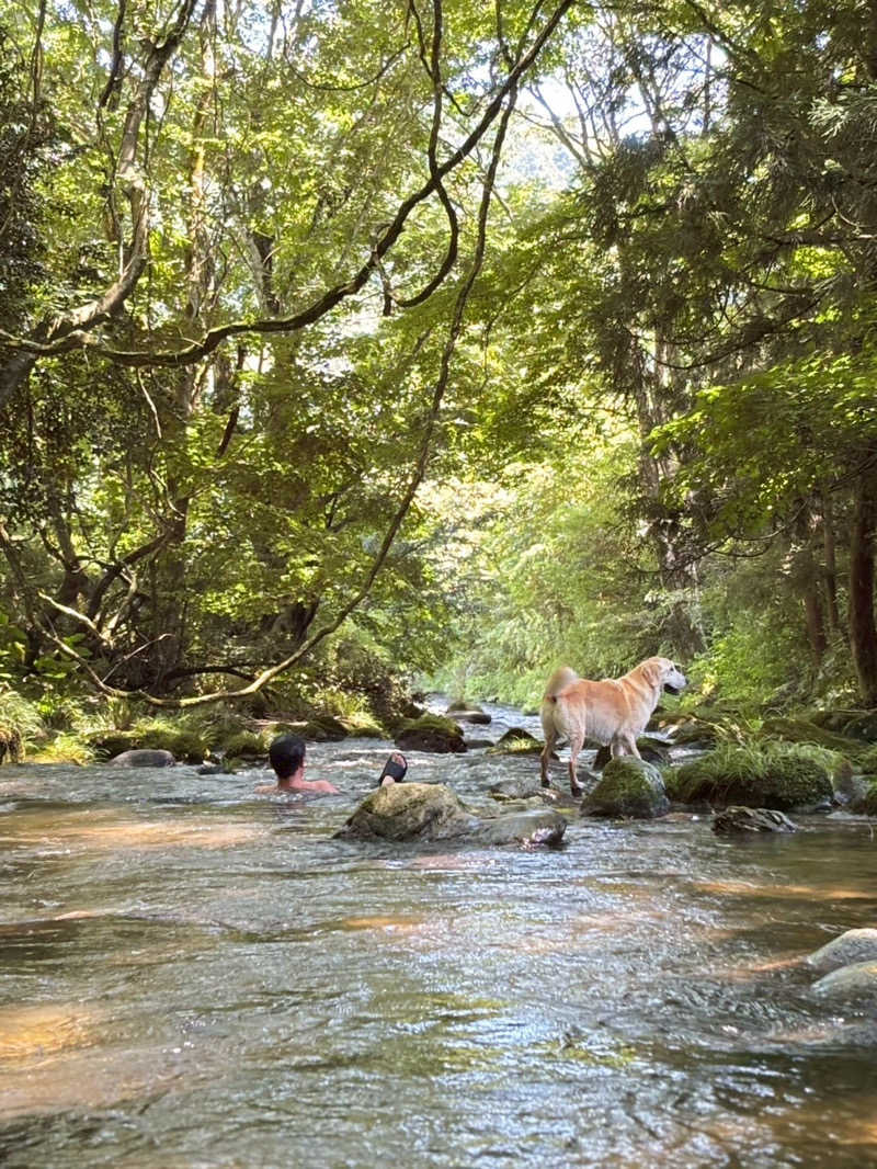 便〜BEN〜さんのコアミガメのサ活写真