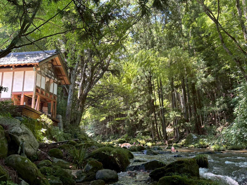 便〜BEN〜さんのコアミガメのサ活写真