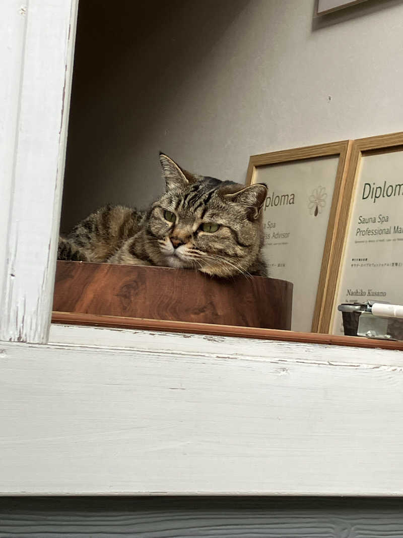 便〜BEN〜さんのOUSE SAUNA TUULI(OUSE Camp&Sauna TUULI内)のサ活写真