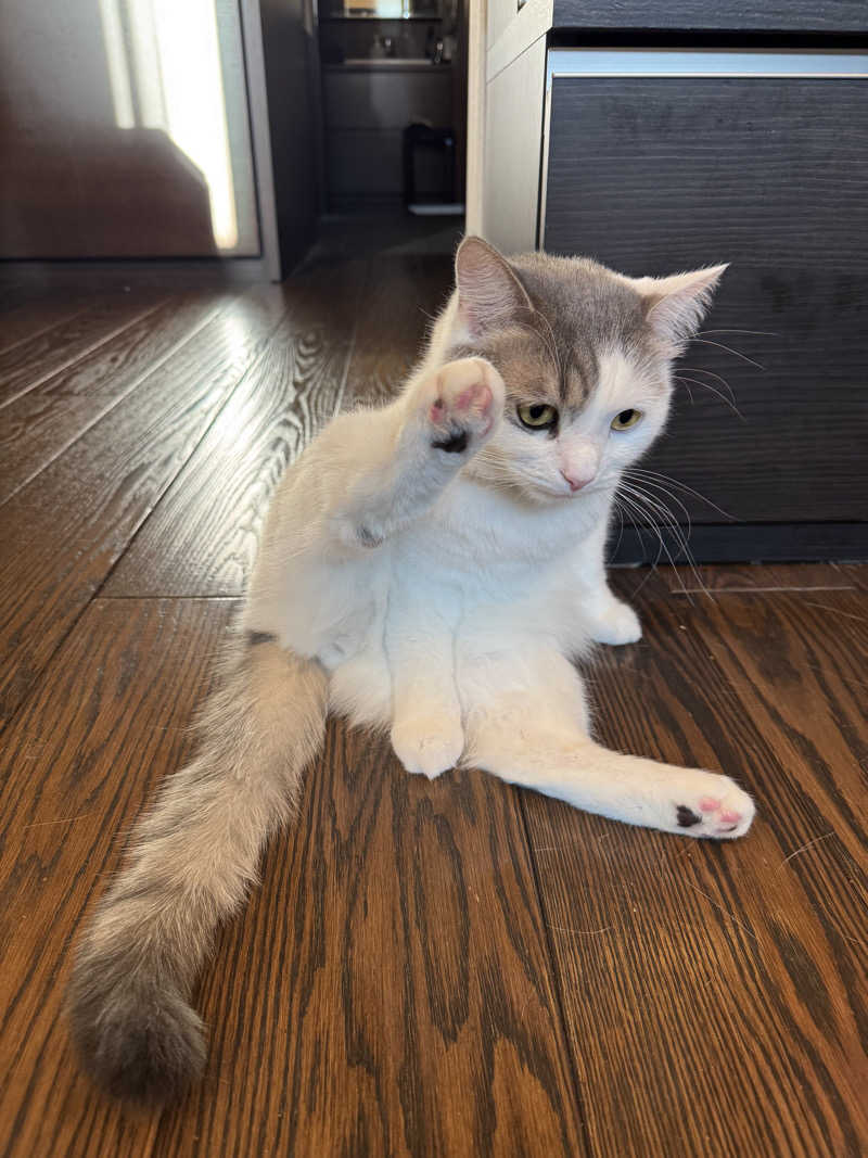 HDTMさんのユートピア白玉温泉のサ活写真