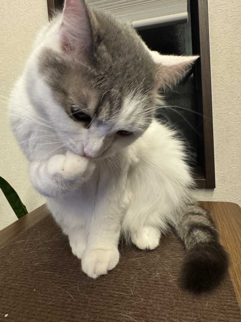 HDTMさんのユートピア白玉温泉のサ活写真