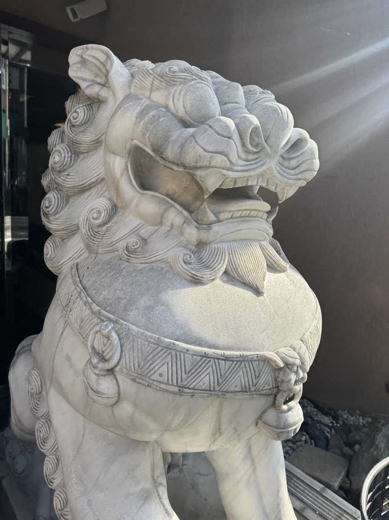 HDTMさんのなにわ健康ランド 湯〜トピアのサ活写真