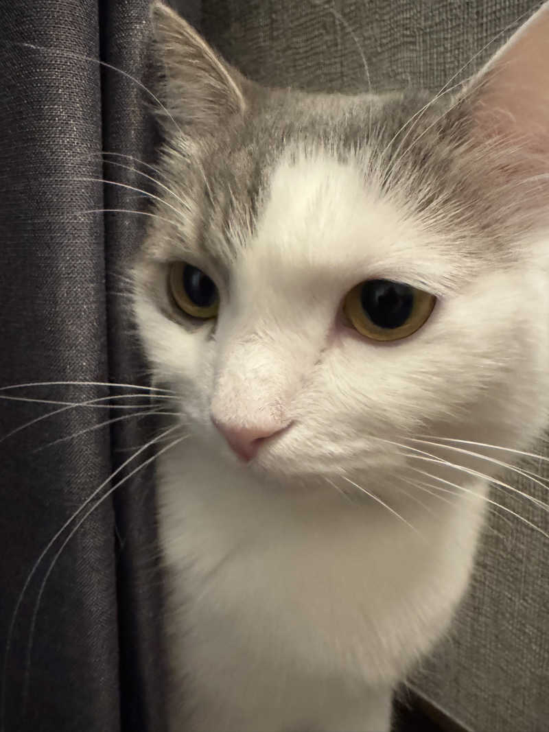 HDTMさんのなにわ健康ランド 湯〜トピアのサ活写真