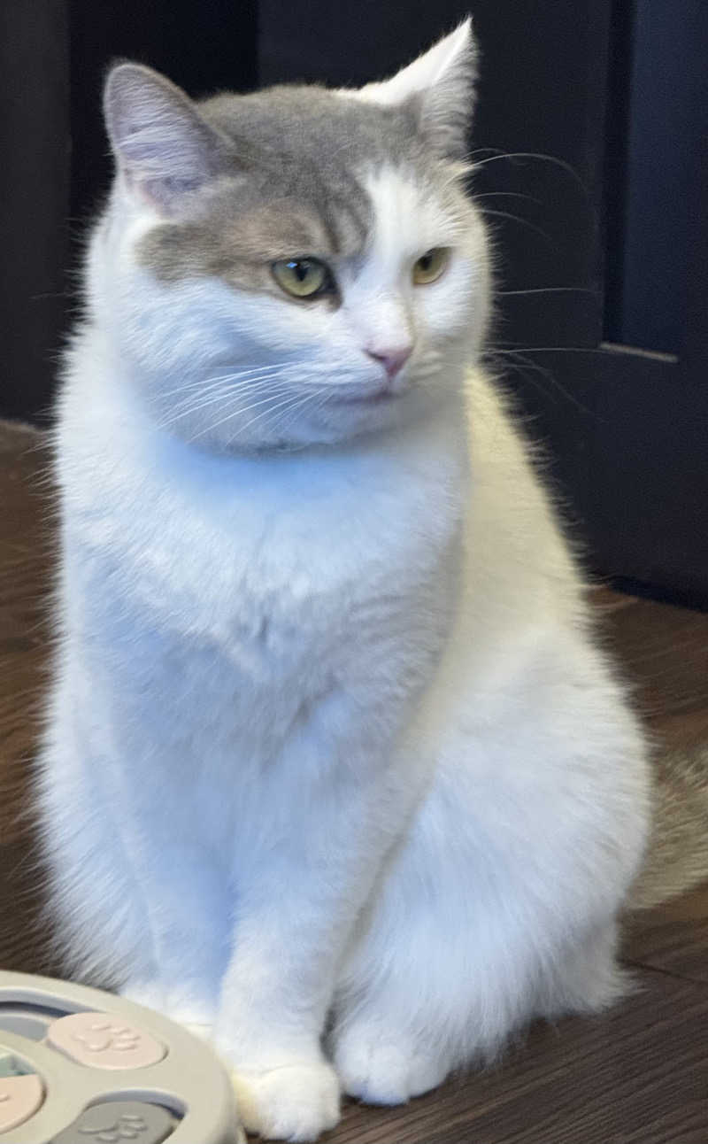 HDTMさんのなにわ健康ランド 湯〜トピアのサ活写真