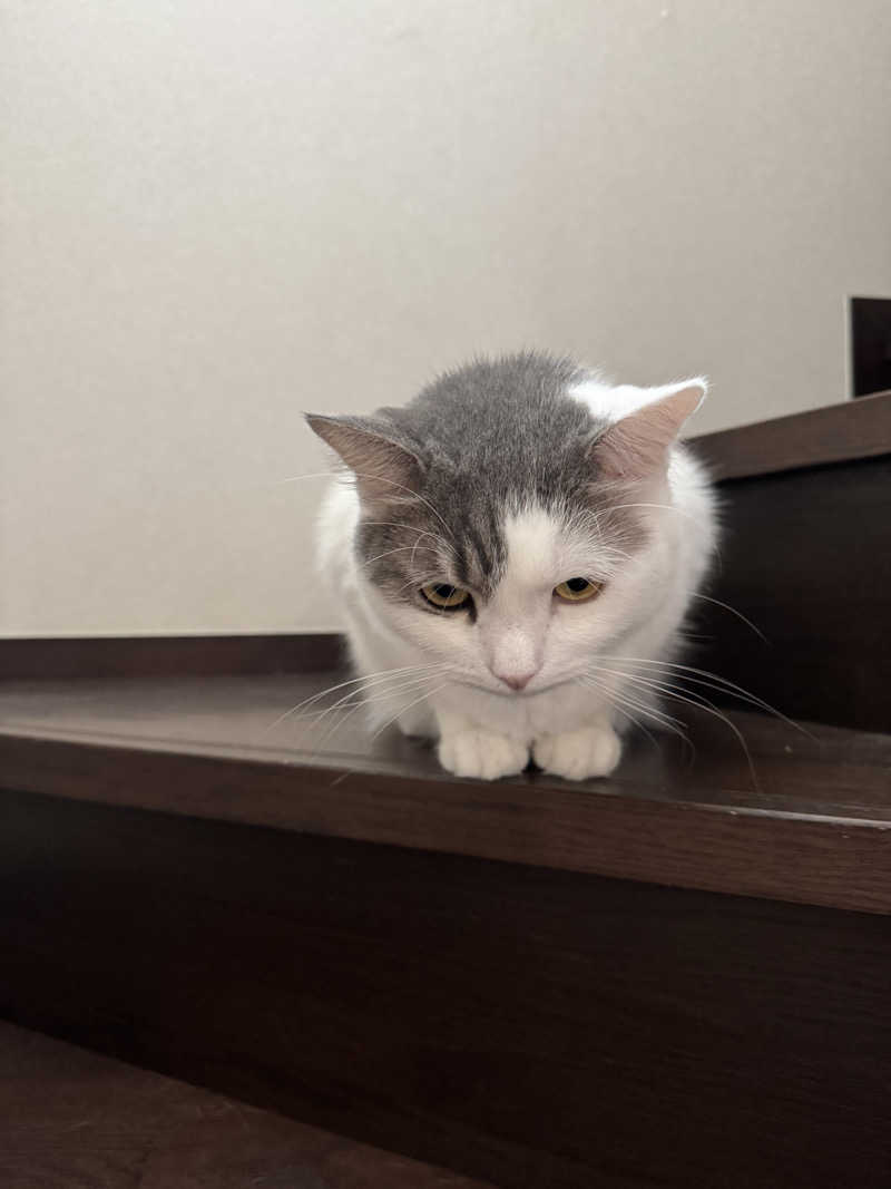 HDTMさんのなにわ健康ランド 湯〜トピアのサ活写真