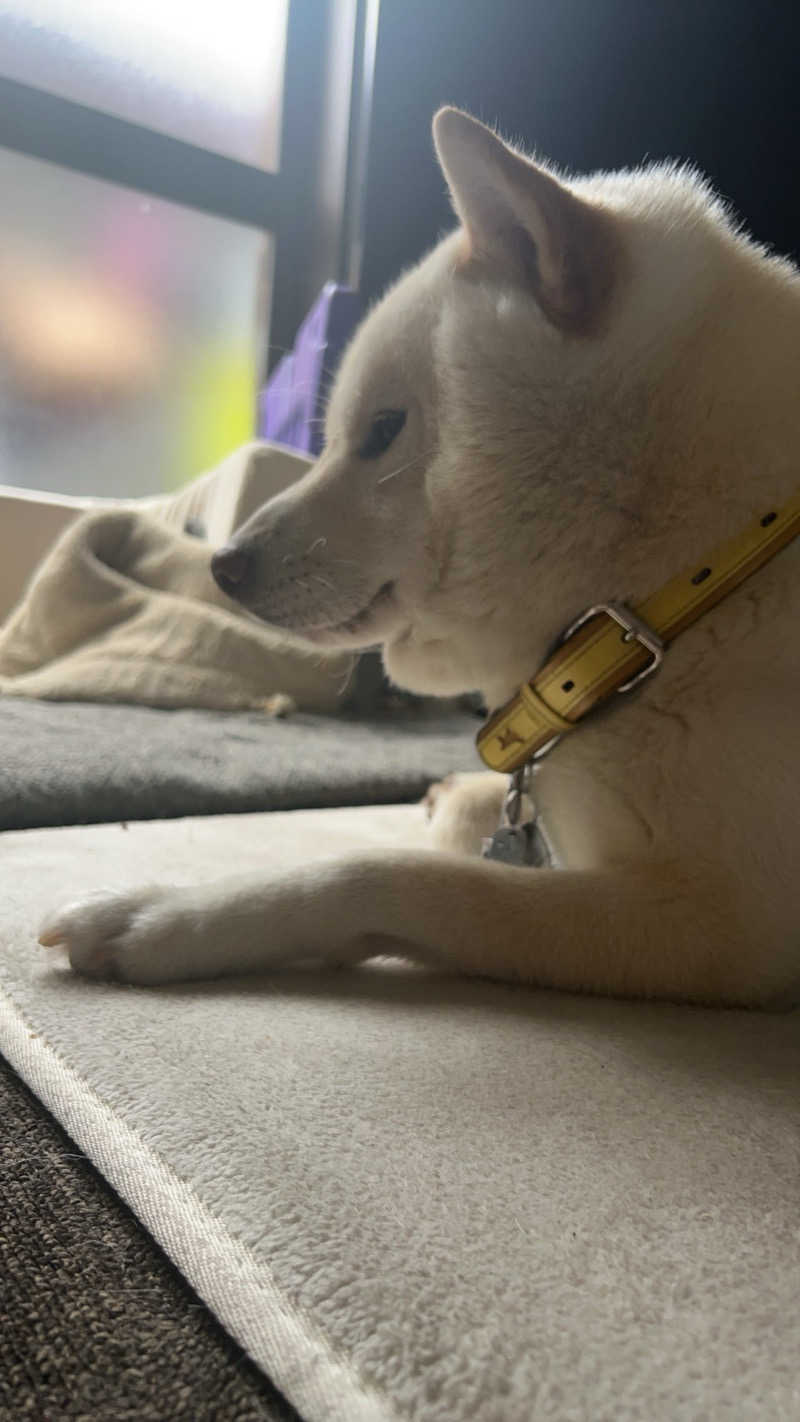 HDTMさんのニュージャパン 梅田店(カプセルイン大阪)のサ活写真