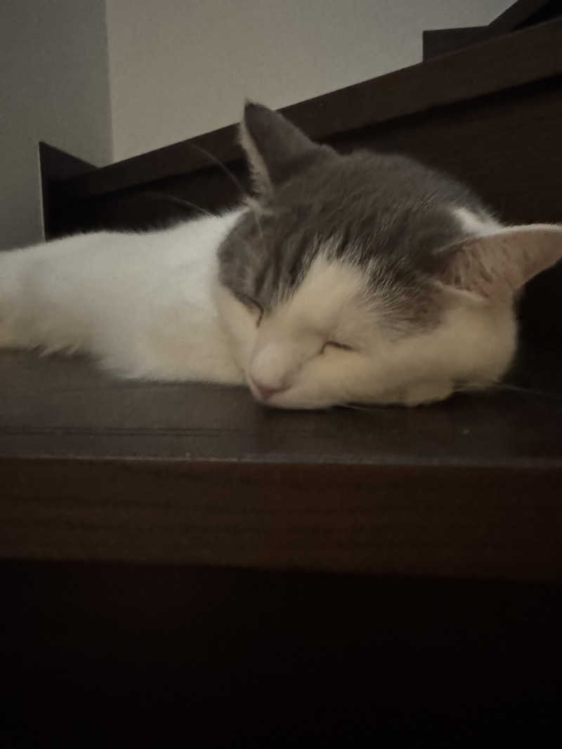 HDTMさんのニュージャパン 梅田店(カプセルイン大阪)のサ活写真