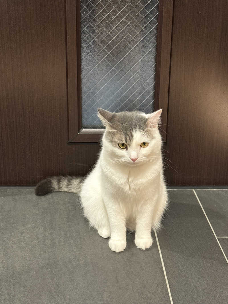 HDTMさんのサウナ&ホテル かるまる池袋のサ活写真