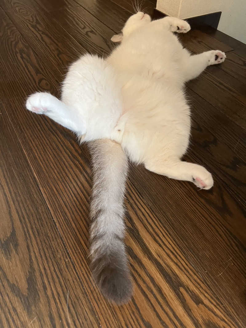 HDTMさんのサウナ&ホテル かるまる池袋のサ活写真