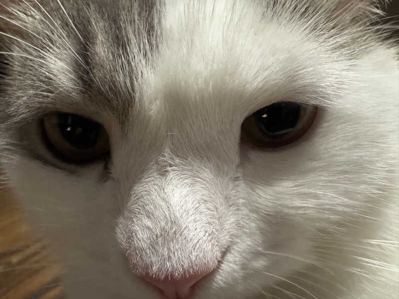 HDTMさんの湯源郷 太平のゆ なんば店のサ活写真