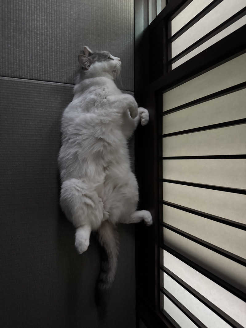 HDTMさんの三田天然温泉 寿ノ湯のサ活写真