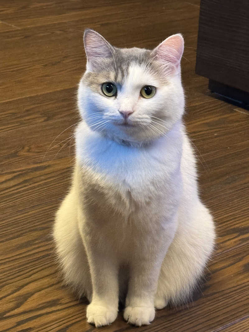 HDTMさんのなにわ健康ランド 湯〜トピアのサ活写真