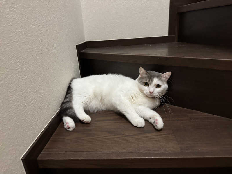 HDTMさんの天然温泉 延羽の湯 鶴橋店のサ活写真