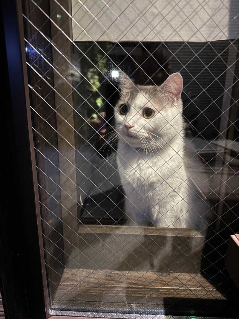 HDTMさんのユートピア白玉温泉のサ活写真