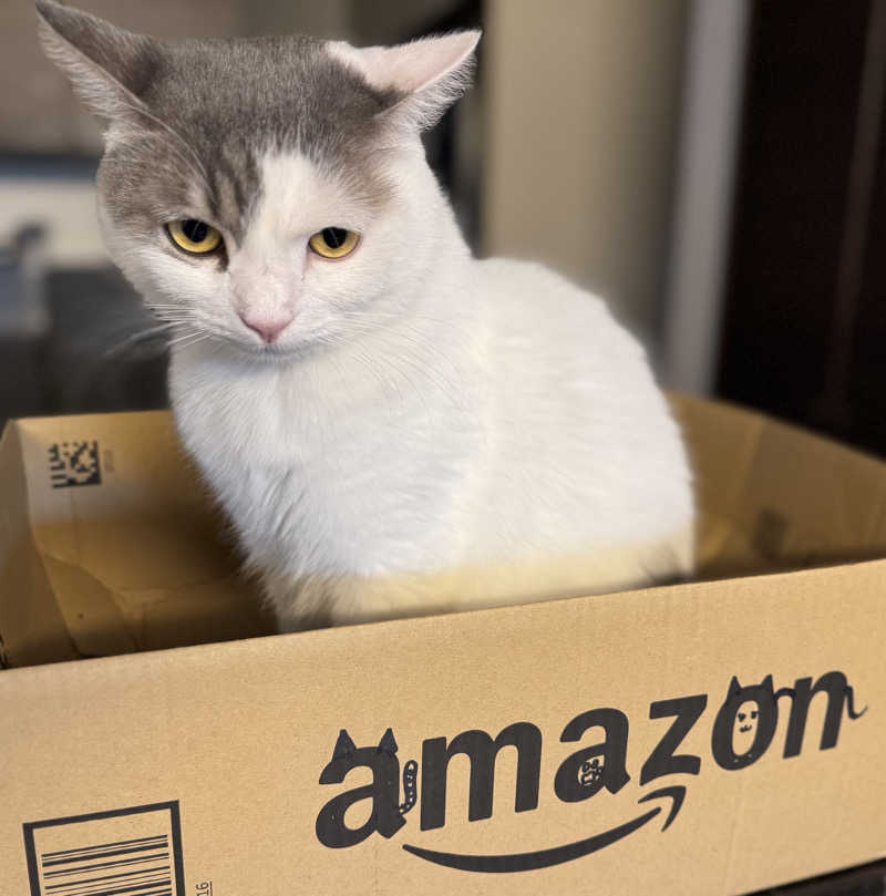 HDTMさんのユートピア白玉温泉のサ活写真