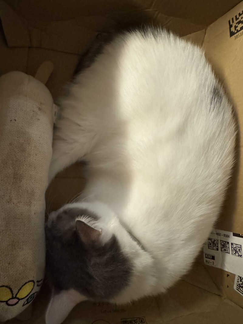 HDTMさんの三田天然温泉 寿ノ湯のサ活写真