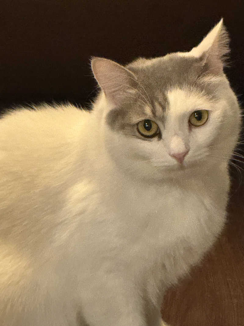 HDTMさんのなにわ健康ランド 湯〜トピアのサ活写真