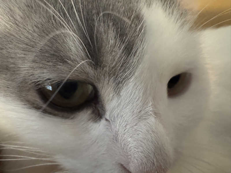 HDTMさんのユートピア白玉温泉のサ活写真