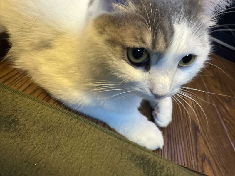 HDTMさんのユートピア白玉温泉のサ活写真